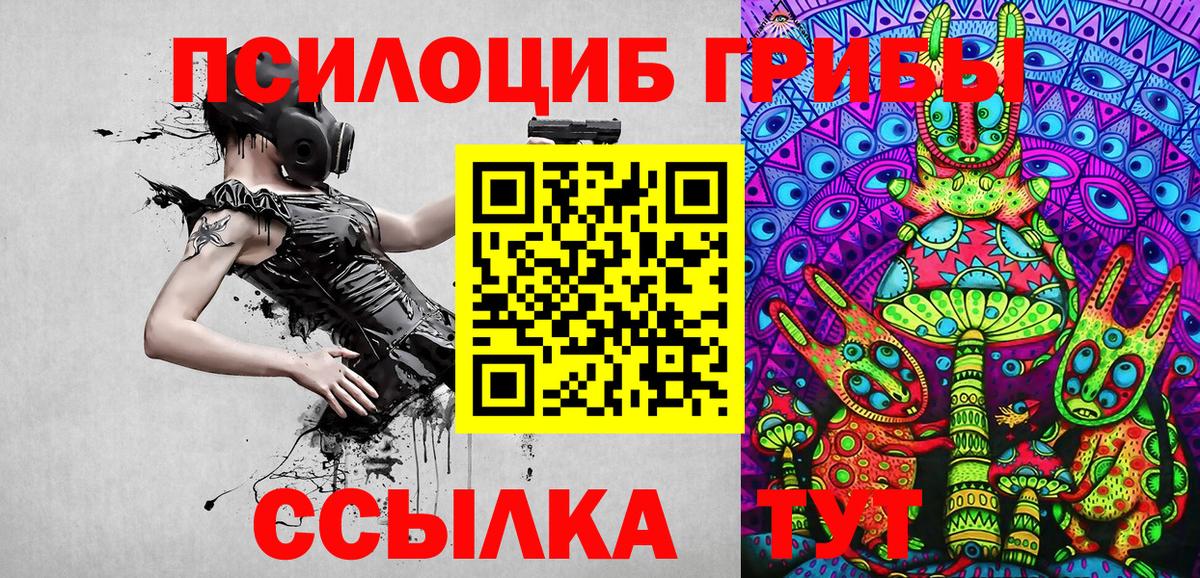 Вятские Поляны  Галлюциногенные грибы мухоморы  Вход с VPN 