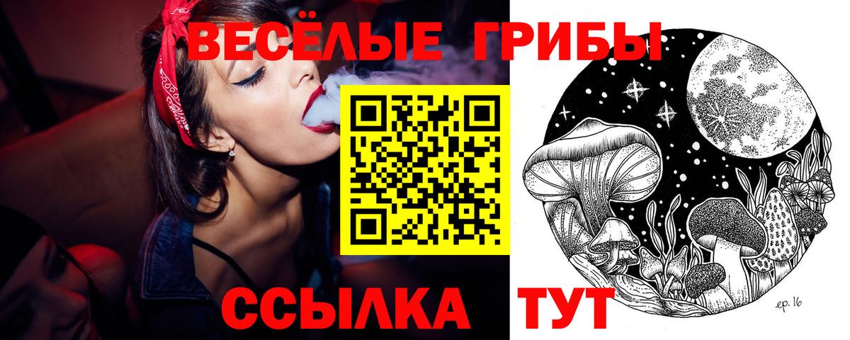 Псилоцибиновые грибы Psilocybine cubensis  Вятские Поляны 